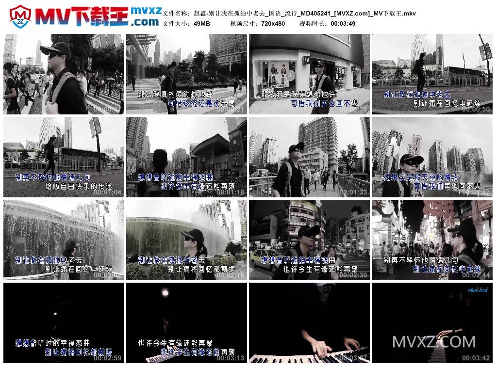 赵鑫-别让我在孤独中老去_国语_流行_MD405241